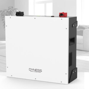 Bateria de Litio Dyness BX51100 5.12kWh 48V